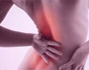 OsteOnochonRos